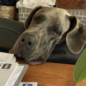 MAKE ME AN OFFER…..Bundled offers accepted